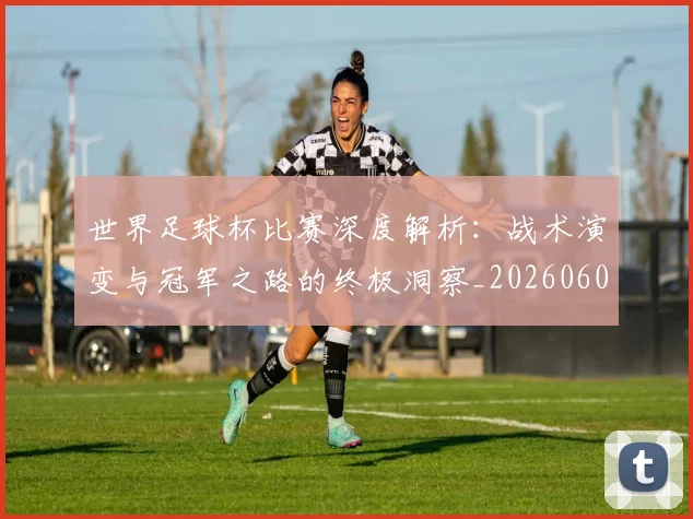 世界足球杯比赛深度解析:战术演变与冠军之路的终极洞察_20260609201444